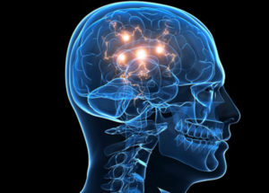 Scientists Studied The Brain’s Behavior Before And After Death And The Results Are Overwhelming