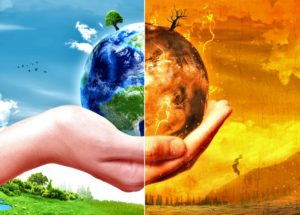 Climate Change Can Lead To The Extinction Of 50% Of The Animal And Plant Species By The End Of The Century