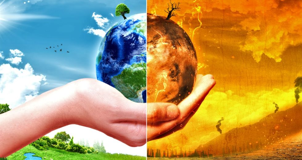 Climate Change Can Lead To The Extinction Of 50% Of The Animal And Plant Species By The End Of The Century