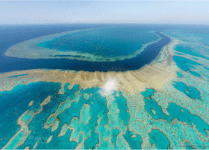 Coral Bleaching Can Be Reduced By A “Solar Shield” That Has Shown Successful Results In Experiments