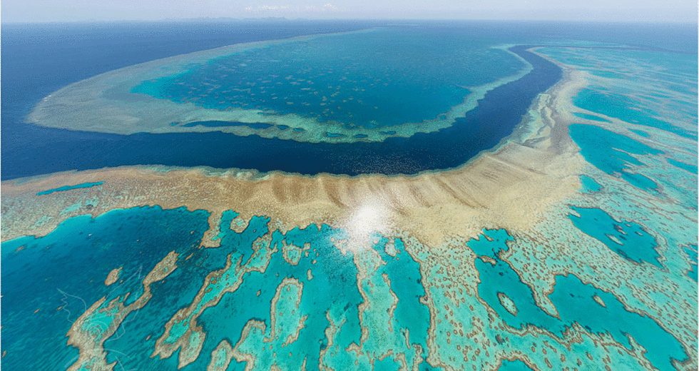Coral Bleaching Can Be Reduced By A “Solar Shield” That Has Shown Successful Results In Experiments