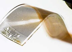 A New Technology Capable Of Recording Neural Signals Has Been Recently Developed In Sweden
