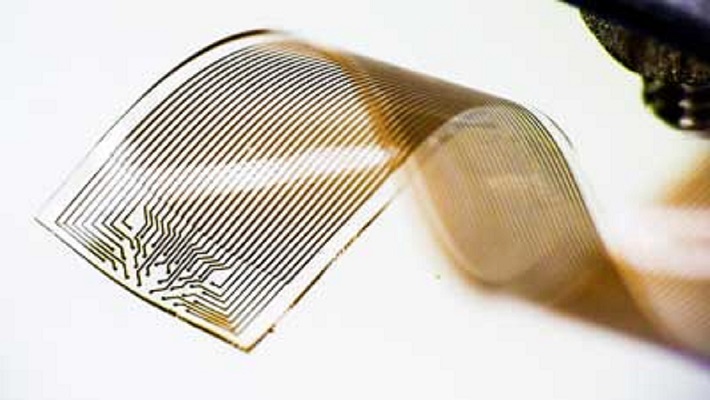 A New Technology Capable Of Recording Neural Signals Has Been Recently Developed In Sweden