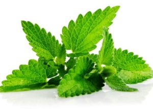Mint Cream Health Benefits – Great For Digestion, Relaxation, And Even For A Fresh Breath
