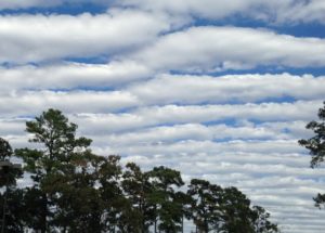 NASA Asks For Photos Of Clouds And The STEVE Aurora