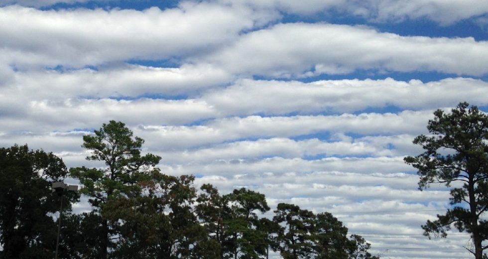 NASA Asks For Photos Of Clouds And The STEVE Aurora