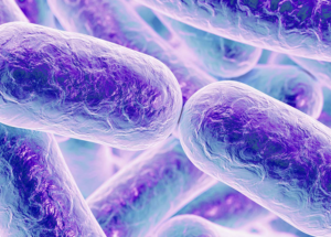 The Salmonella Outbreak In The US Made New Victims
