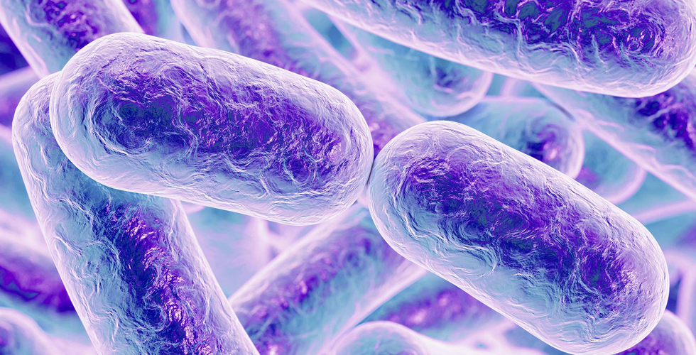 The Salmonella Outbreak In The US Made New Victims