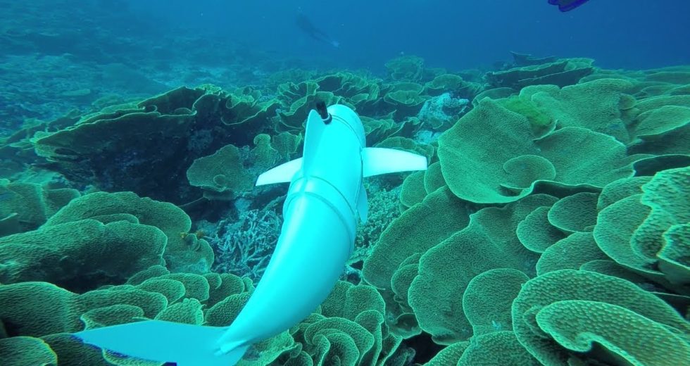 Meet SoFi, The Robot Fish That Investigates The Deeps Of The Oceans
