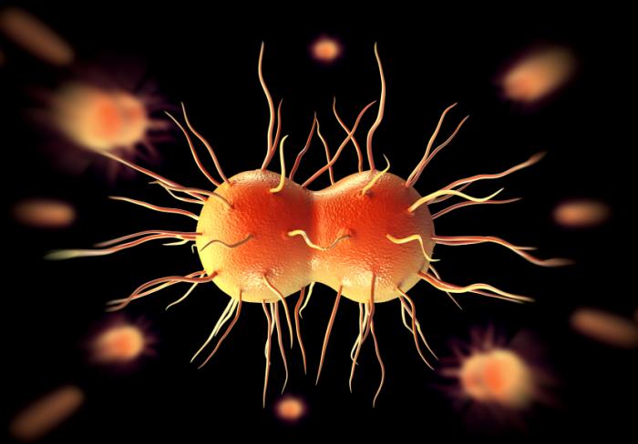The World’s First Case Of Super-Gonorrhea Has Been Registered In The UK And Its Resistant To Antibiotics