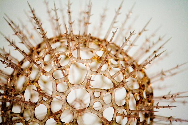 Disease X Is On The WHO Priority Diseases List – What Is Disease X?