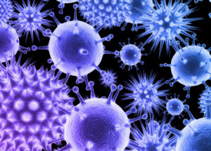 There Are More Than 1.7 Million Unknown Viruses That Can Cause Deadly Pandemics In Humans