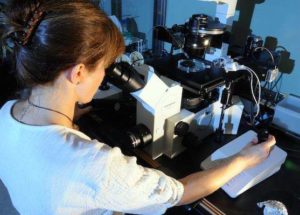 A New Discovery in Gene Research has Been Made