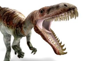 Study Shows the Eating Habits of Dinosaurs Based on Their Teeth