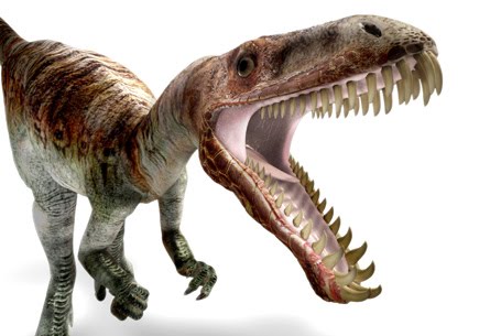 Study Shows the Eating Habits of Dinosaurs Based on Their Teeth