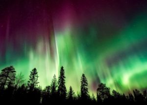 Electric Blue Auroras Embellish the Sky