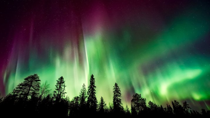 Electric Blue Auroras Embellish the Sky