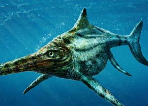 The Largest Prehistoric Aquatic Reptile, An Ichthyosaur Specimen, Has Been Discovered