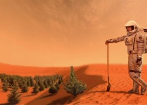 Mars Colonization: The Gravity Of Mars Alters The Normal Growth Of Plants At A Cellular Level