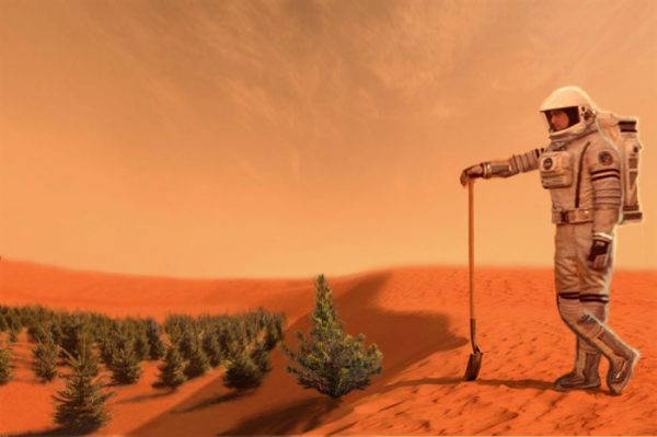 Mars Colonization: The Gravity Of Mars Alters The Normal Growth Of Plants At A Cellular Level