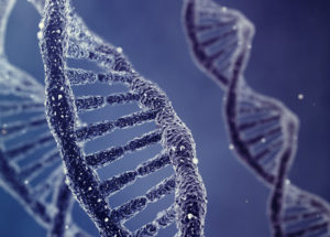New DNA Structure Has Been Discovered By Australian Researchers