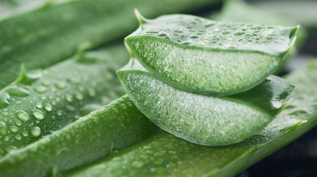 Aloe Vera Topical Preparations Are Ideal For Diaper Rash Treatment In Babies