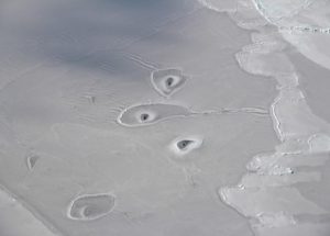 Mysterious Ice Holes In The Arctic Region Puzzle NASA’s Scientists