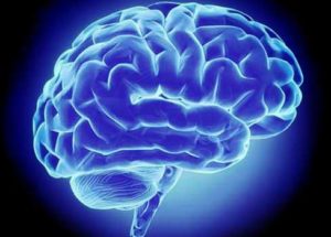 The Brain Reassigns Tasks To Different Brain Regions To Fight Against Dementia