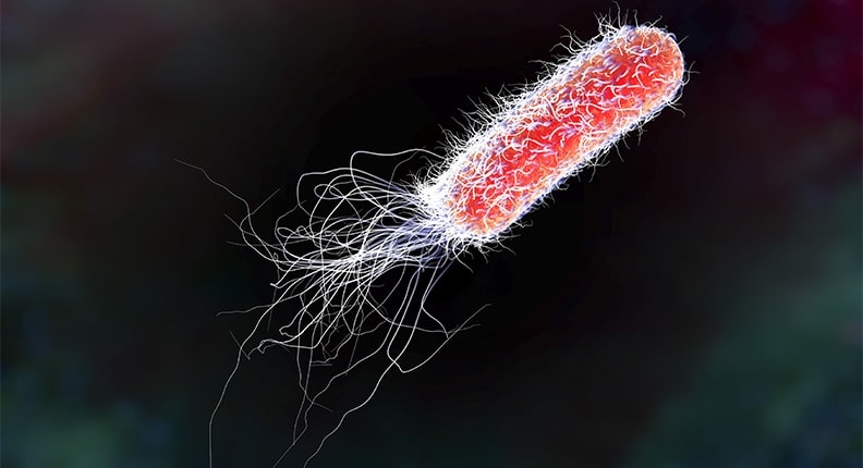 E. Coli Outbreak In The US Has Now Reached Ohio, According To The CDC