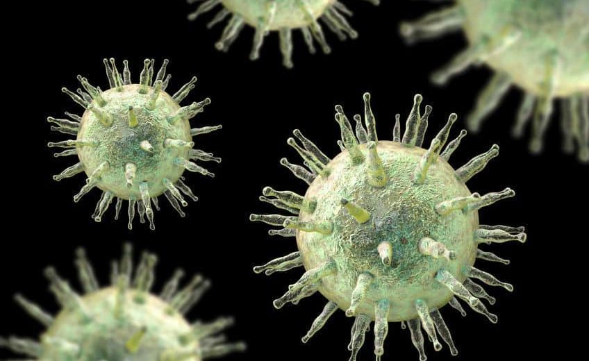 Epstein-Barr Virus, Which Causes Infectious Mononucleosis (Kissing Disease), Also Involved In Seven Autoimmune Diseases