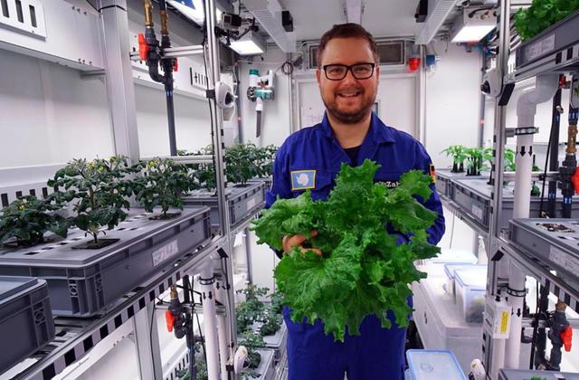 German Scientists Stationed In Antarctica Harvested Vegetables At -20 Degrees Celsius
