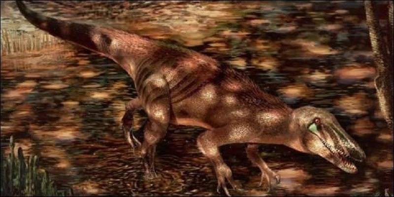 A New Giant Carnivorous Dinosaur Species Has Been Found In Patagonia, Argentina