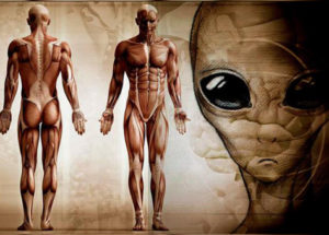 The Origins Of Life – Humans Are Not From Earth