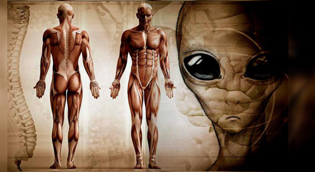 The Origins Of Life – Humans Are Not From Earth