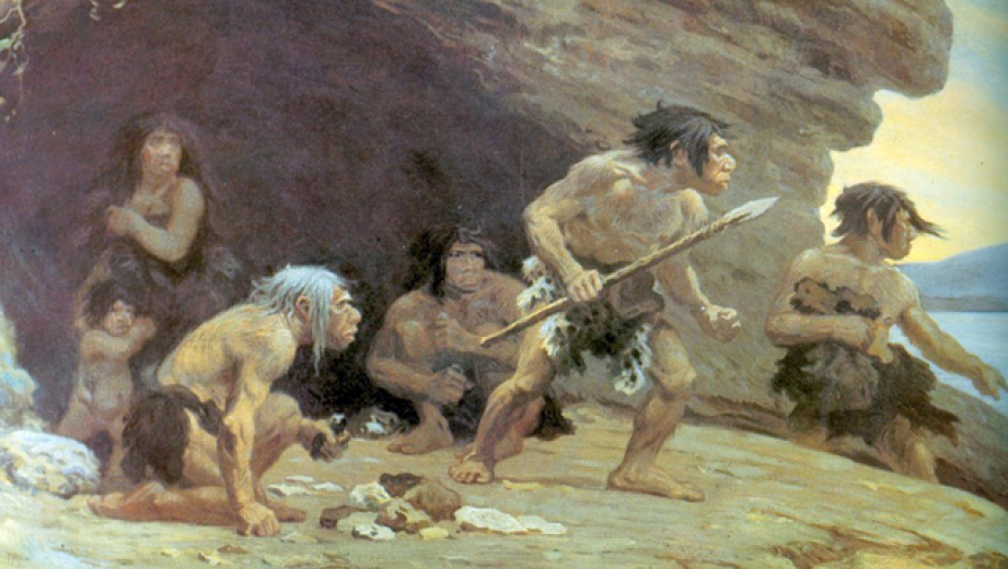 Neanderthals Brain Had A Smaller Cerebellum, Causing Them Social Life Lack, Cognitive Impairments, And Poor Adaptability To Changes