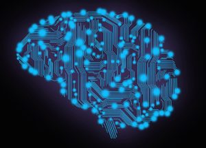 New Neurons Are Generated In The Brains Until Old Age, A New Study Finds