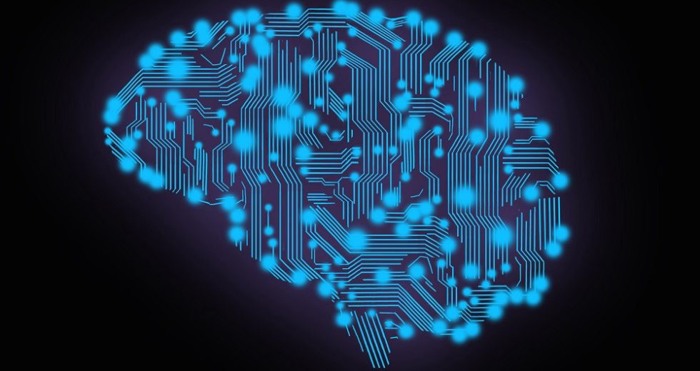 New Neurons Are Generated In The Brains Until Old Age, A New Study Finds