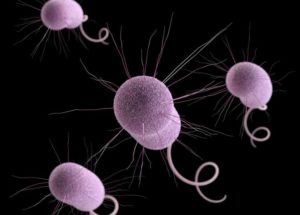 The “Nightmare Bacteria” Threatens The US