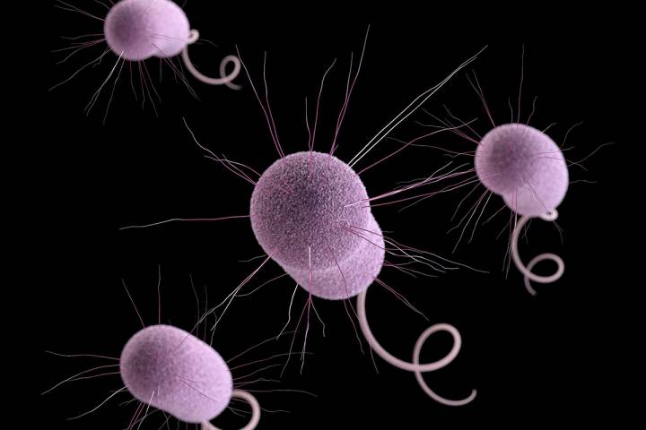 The “Nightmare Bacteria” Threatens The US
