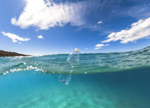 Plastic Waste In The Oceans Affects The Marine Bacteria Growth, With Consequences On The Whole Marine Ecosystem