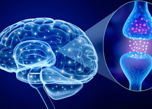 Parkinson’s Disease – New Methods Of Treatment Are Tested To Reduce Symptoms Of This Neurodegenerative Disease