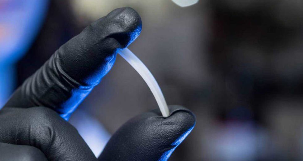 Scientists Developed A New Plastic Which Can Be Recycled Indefinitely