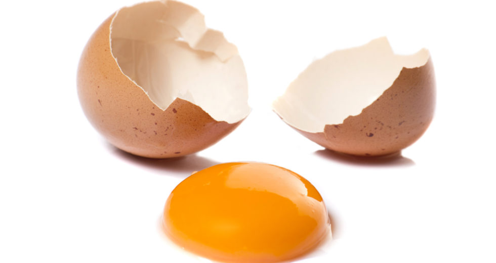 Canadian Scientists Studied Eggshells’ Nanostructures To Develop Hard-to-break And Healthier Eggs
