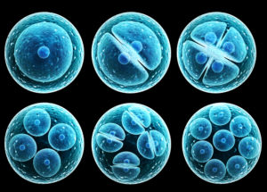 Stem Cells Have Been Successfully Used To Treat Macular Degeneration In A New Clinical Trial