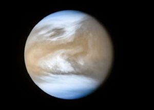 Venus Atmosphere Can Hold Microbial Life