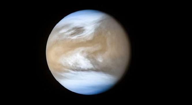 Venus Atmosphere Can Hold Microbial Life