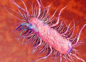 A Flesh-Eating Bacteria Will Actually Be Good For Us?