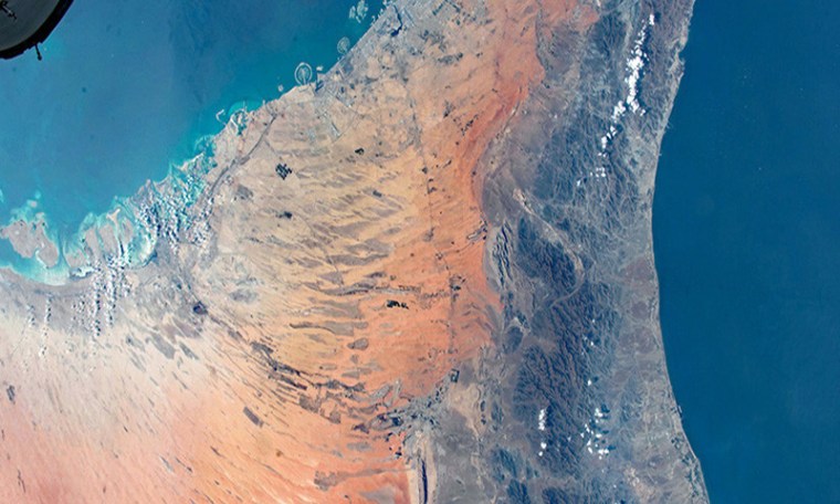 Dead Zone Found in the Gulf of Oman: What Does This Mean?
