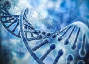 Ancient Genomes Of Tsimshian People, A Group Of Native Americans, Revealed Important Facts About Their Evolution
