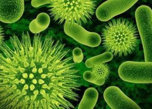Antibiotic-Resistant Bacteria Might Be Tackled With A New Antibiotic The British Scientists Created